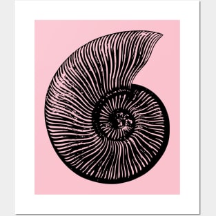 Ammonite Posters and Art